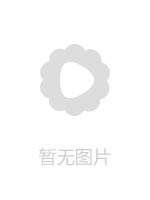 情欲小說家